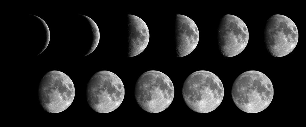 Moon Phase Montage